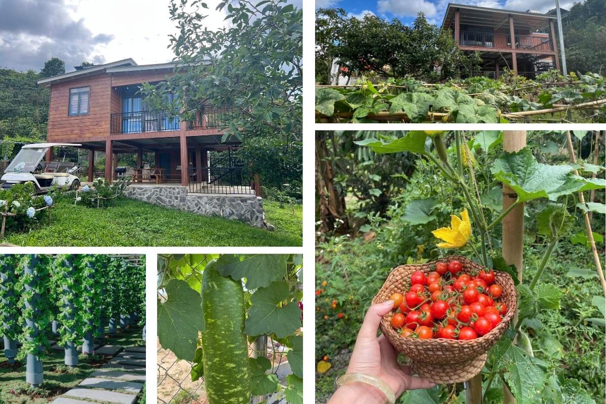 Aman Blao - Retreat Giữa Cộng Đồng Tử Tế Aman Blao - nơi vườn nhà trên nền đất nông nghiệp được cư dân quy hoạch bài bản